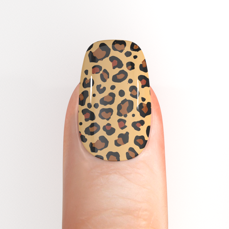 Leopard